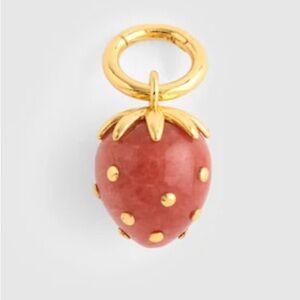 MWT MADEWELL Semiprecious Strawberry Charm